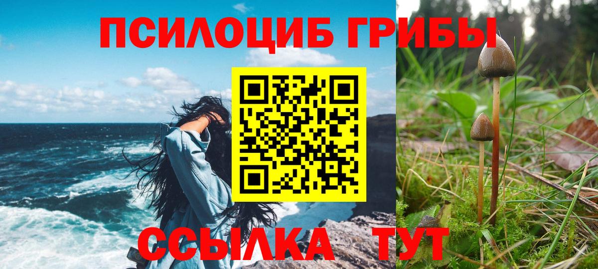 Галлюциногенные грибы прущие грибы  Вход с VPN  Псилоцибиновые грибы ЛСД  Обнинск 